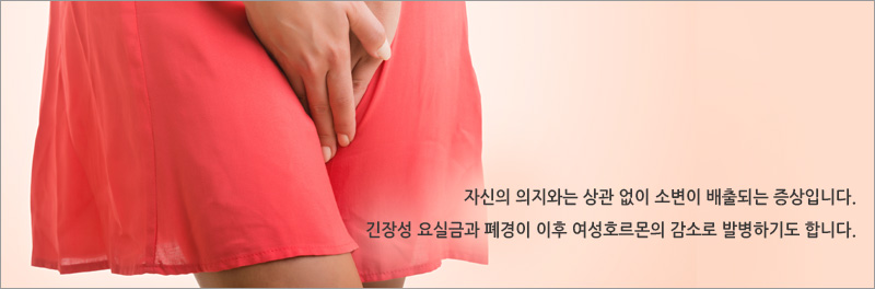 자신의 의지와는 상관 없이 소변이 배출되는 증상입니다.긴장성 요실금과 폐경이 이후 여성호르몬의 감소로 발병하기도 합니다.