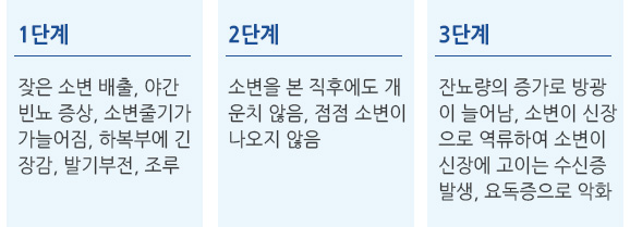 1단계 잦은 소변 배출, 야간 빈뇨 증상, 소변줄기가 가늘어짐, 하복부에 긴장감, 발기부전, 조루 2단계 소변을 본 직후에도 개운치 않음, 점점 소변이 나오지 않음 3단계 잔뇨량의 증가로 방광이 늘어남, 소변이 신장으로 역류하여 소변이 신장에 고이는 수신증 발생, 요독증으로 악화