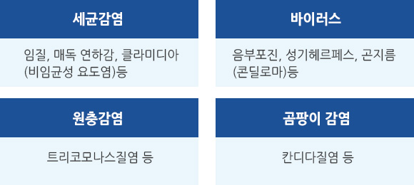 세균감염 임질, 매독 연하감, 클라미디아등 바이러스 음부포진, 성기헤르페스 곤지름 등 원충감염 트리코모나스질염 등 곰팡이 감염 칸디다 질염 등